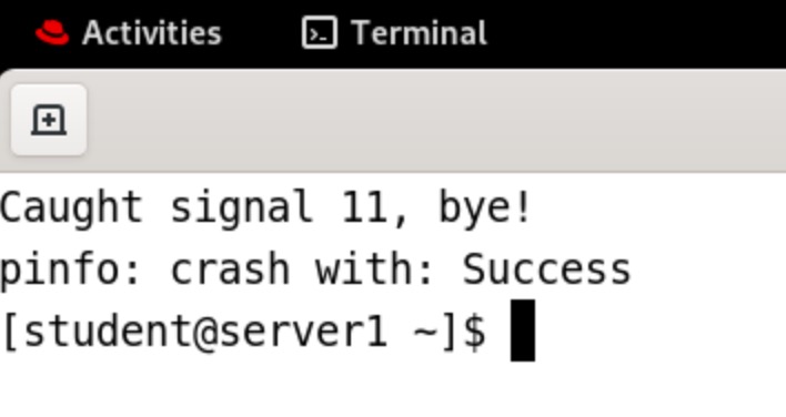 Screenshot of a message printed by pinfo command on terminal on Linux that says 'crash with: Success'